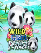 เทคนิคและประสบการณ์ทดลองเล่น สล็อต xo24 ที่ต้องรู้